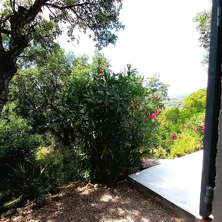 Everblue - Domaine Prive - Piscine Sainte-Maxime